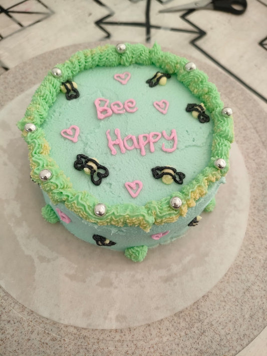 Bento Cake Decorating Workshop 3:30pm 17/01/26